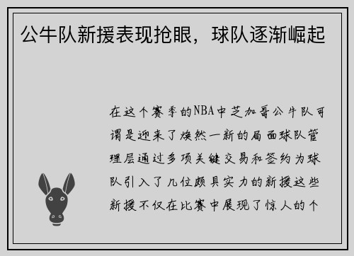 公牛队新援表现抢眼，球队逐渐崛起